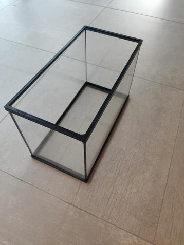 aquarium - aquaria - visbokaal - bokaal - vissen beschikbaar voor biedingen