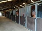 Paardencomplex gezocht, Dieren en Toebehoren, Stalling, 4 paarden of pony's of meer