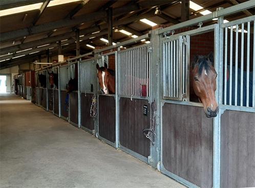 Paardencomplex gezocht, Dieren en Toebehoren, Stalling en Weidegang, Stalling, 4 paarden of pony's of meer