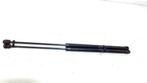 GASDRUKVEERSET VOOR Mini Mini Cooper S (R53) (41619066566), Gebruikt, Mini