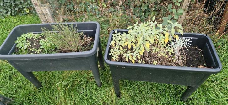 4 chaises de jardin et une table de jardin, 2 bacs de cultur, Jardin & Terrasse, Bacs à fleurs & Jardinières, Comme neuf, Enlèvement