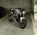 Suzuki sv1000N, Motos, Motos | Suzuki, Particulier, Naked bike