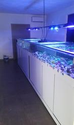 TE KOOP : Aquarium, Dieren en Toebehoren, Ophalen, Gebruikt, Leeg aquarium