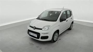 Fiat Panda 1.0i MHEV City Life CLIM / PDC AR (bj 2025) beschikbaar voor biedingen