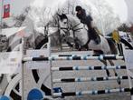 Trainen van paarden