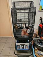 Cage à oiseaux pour calopsittes ou autres oiseaux, Animaux & Accessoires, Enlèvement, Utilisé, Métal, Cage à oiseaux
