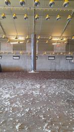 pluimvee, Enlèvement, Utilisé