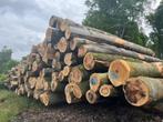Beukenstammen 6 meter | VERS GEZAAGD | 50 stère stamhout, Verzenden, Zo goed als nieuw