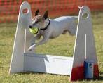 Haie d'obstacles dressage chiens Flyball Jump +8 hauteurs, Enlèvement ou Envoi, Neuf