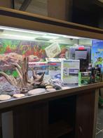 aquarium 100 cm, Dieren en Toebehoren, Gebruikt, Ophalen of Verzenden, Leeg aquarium