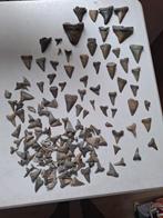 haaientanden Kallo, Ophalen