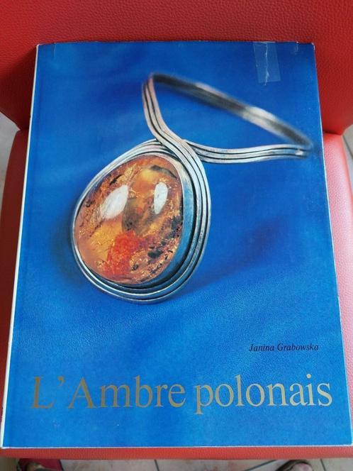 L' ambre Polonais Janina Grabowska amber kunst juwelen barns, Boeken, Overige Boeken, Zo goed als nieuw, Ophalen of Verzenden