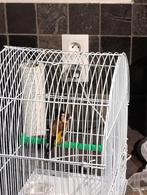 Parva, Dieren en Toebehoren