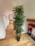 FEJKA plant (Ikea), Ophalen, Zo goed als nieuw, Binnen