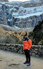 The Northface 700 Nuptse Rétro 1996 Original, Enlèvement ou Envoi