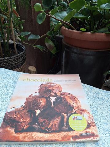 J.P. Wybauw - Chocolade zonder grenzen beschikbaar voor biedingen