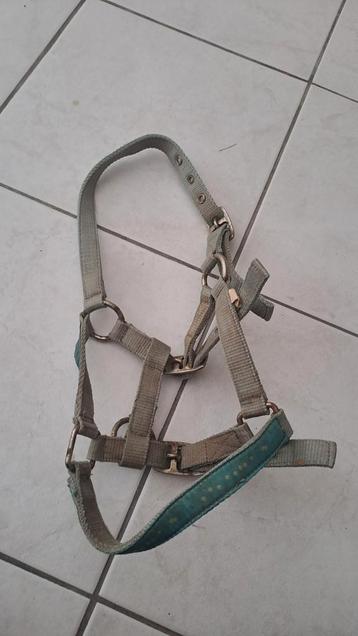 Halster beschikbaar voor biedingen