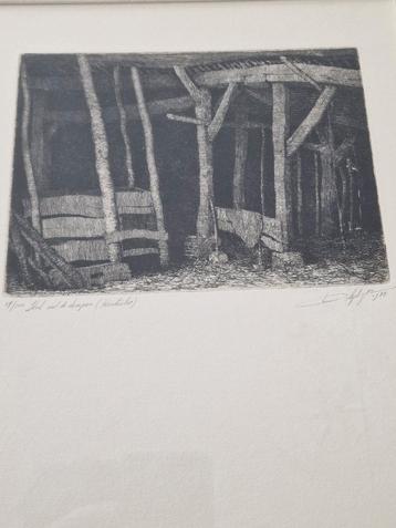 Willem dolphyn, Enlèvement ou Envoi