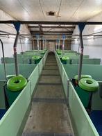 Hokinrichting voor biggen [749], Dieren en Toebehoren