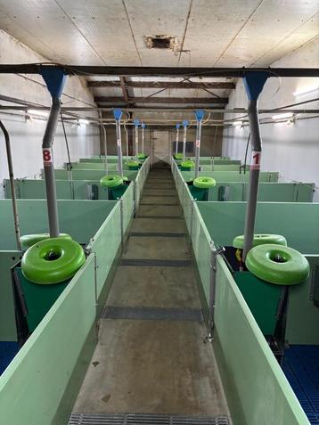 Hokinrichting voor biggen [749]  beschikbaar voor biedingen