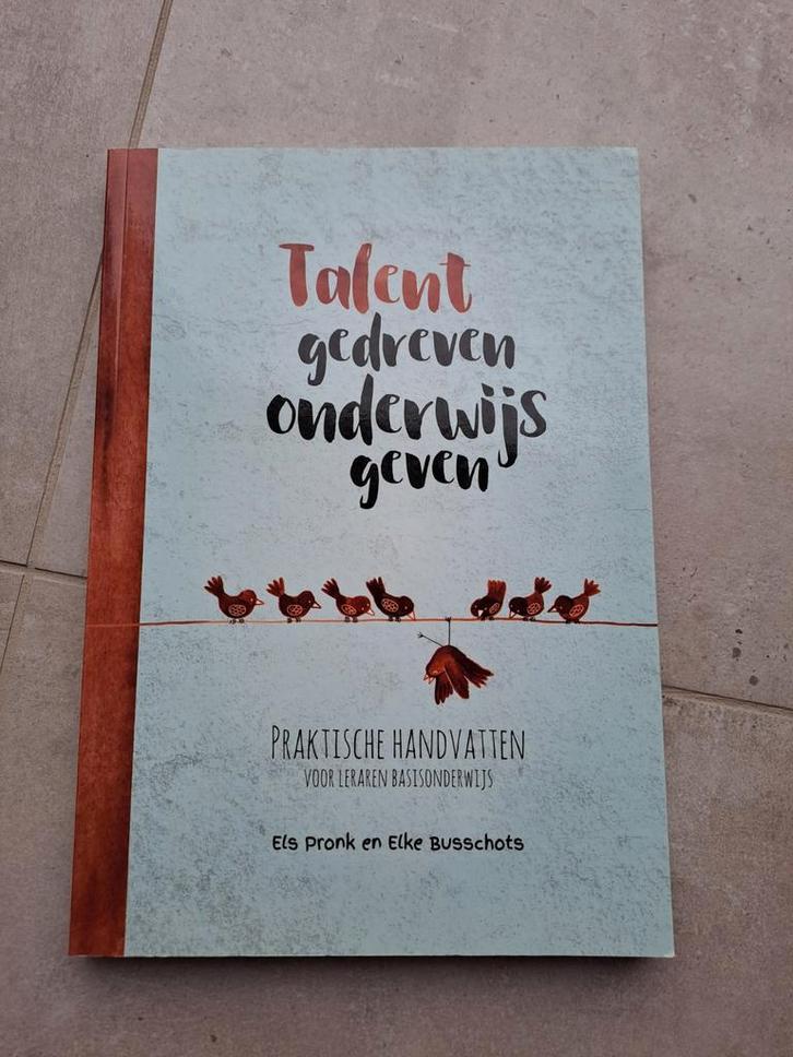 Talentgedreven onderwijs geven, Livres, Livres scolaires, Néerlandais, Enlèvement