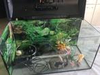 Aquarium, Dieren en Toebehoren, Ophalen, Zo goed als nieuw