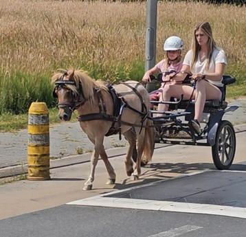 Super lieve ruin. beschikbaar voor biedingen