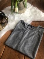 Glanzend grijs shirt maat 38, Ophalen of Verzenden, Zo goed als nieuw, Maat 38/40 (M), Grijs
