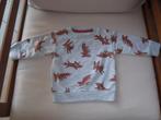pull taille 74, Enfants & Bébés, Vêtements de bébé | Taille 74, Enlèvement ou Envoi, Comme neuf, Garçon, Pull ou Veste
