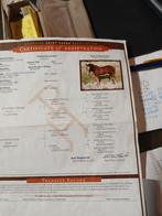 quarter-paint te koop, Dieren en Toebehoren, Paarden, Minder dan 160 cm, Gechipt, Ruin, Niet van toepassing