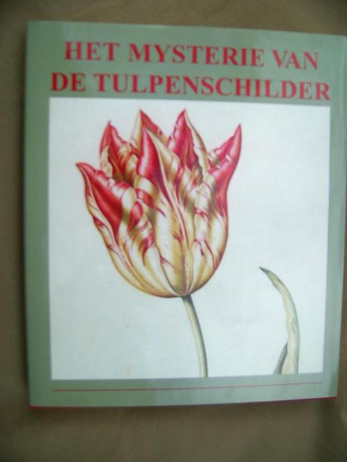 Het mysterie van de tulpenschilder, Livres, Art & Culture | Arts plastiques, Neuf, Enlèvement
