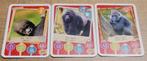 3 fotokaarten: Gorilla's, 1980 tot heden, Ophalen of Verzenden, Zo goed als nieuw, Dier