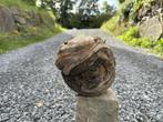 Œuvre d’art unique – “L’Âme du Thuya”, Ophalen, Zo goed als nieuw, Hout