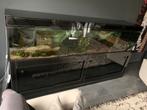 Bel aquarium de 600l, Enlèvement, Comme neuf
