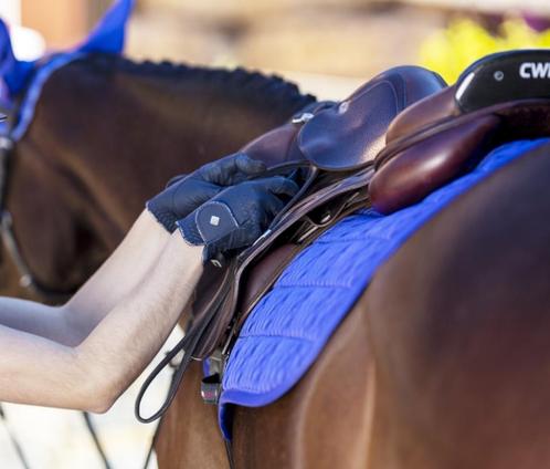 LeMieux Carbon Mesh Bluebell CC Spring Dekje SALE!, Dieren en Toebehoren, Paarden en Pony's | Dekens en Dekjes, Nieuw, Dekje, Ophalen of Verzenden