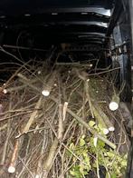 Ongekliefd hout, Ophalen, Stammen