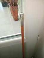 Canne ( badine), Divers, Bâtons de marche, Enlèvement ou Envoi