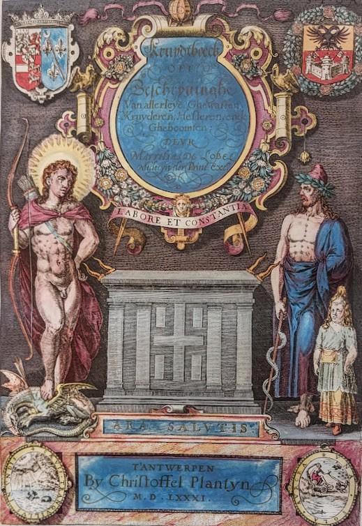 Antwerpen Typografisch & Grafisch centrum Dr. Fr. de Nave, Livres, Histoire & Politique, Comme neuf, 20e siècle ou après, Enlèvement ou Envoi