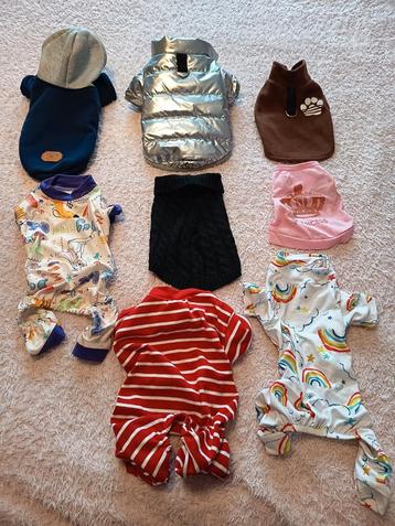Lot de vêtements pour chihuahua  beschikbaar voor biedingen