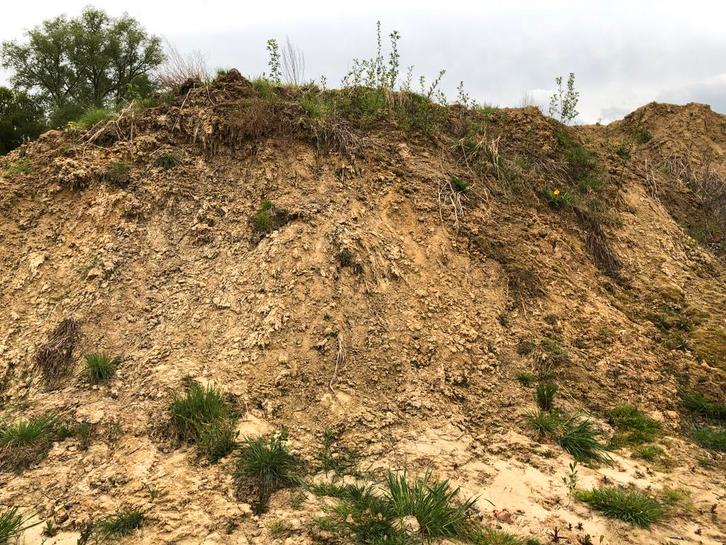 600 m3 zuivere aanvulgrond, Tuin en Terras, Aarde en Mest, Tuinaarde, Ophalen