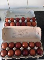 Marans broedeieren, Dieren en Toebehoren, Pluimvee