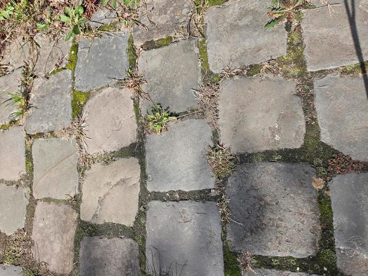 Kasseien terras of oprit klinkers, Tuin en Terras, Tegels en Klinkers, Gebruikt, Klinkers, Ophalen