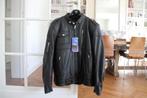 Nieuwe leren motorjas  Triumph !, Motoren, Kleding | Motorkleding, Jas | leer, Ophalen, Nieuw met kaartje, Dames