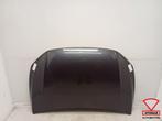 Capot d'origine Volkswagen Polo 2G AW, Info@fabrikant.eu, Fabrikant BV, Utilisé, Capot moteur