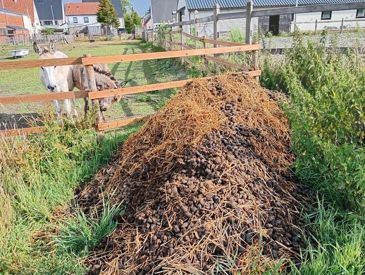 Ezelmest gratis op te halen in Torhout, Tuin en Terras, Aarde en Mest, Mest, Ophalen
