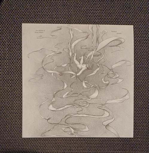 2xLP: Jon Mueller & James Plotkin: Terminal velocity (Taiga, Cd's en Dvd's, Vinyl | Overige Vinyl, Zo goed als nieuw, 12 inch