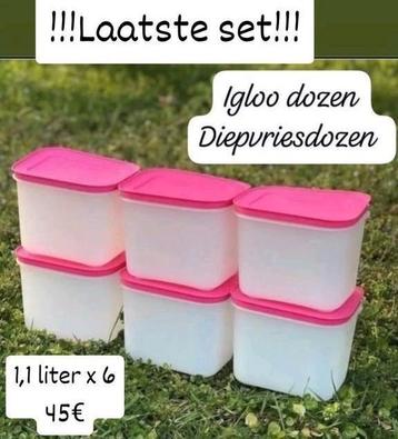 Coffret igloo Tupperware (6), Enlèvement ou Envoi, Neuf
