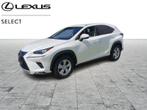 Lexus NX 300H + 4x4, Auto's, Lexus, Automaat, 114 kW, Wit, 155 pk