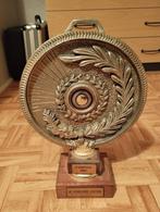 Een trofee over biljarten kleur zilver kleur, Verzamelen, Overige Verzamelen, Ophalen