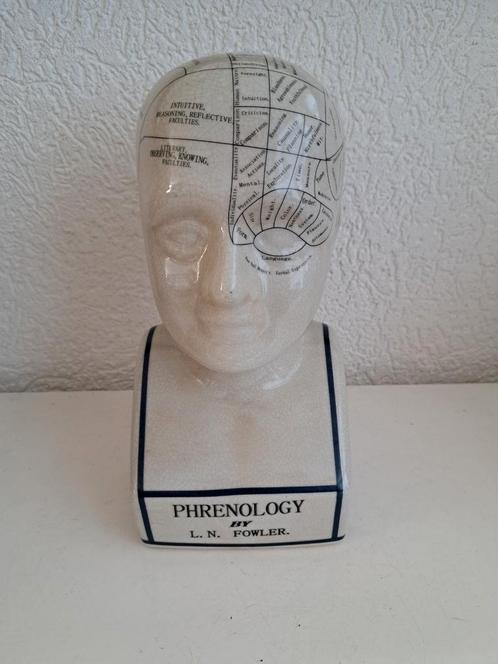 Hoofd phrenology by fowler, Antiek en Kunst, Curiosa en Brocante, Ophalen of Verzenden